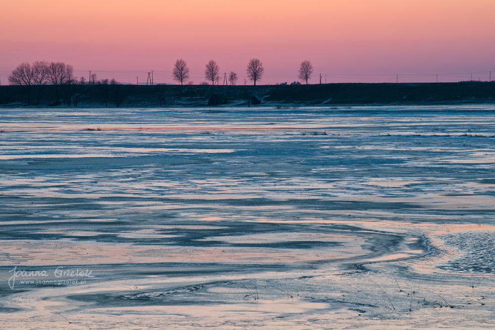 046_Biebrza - marzec 2013.jpg